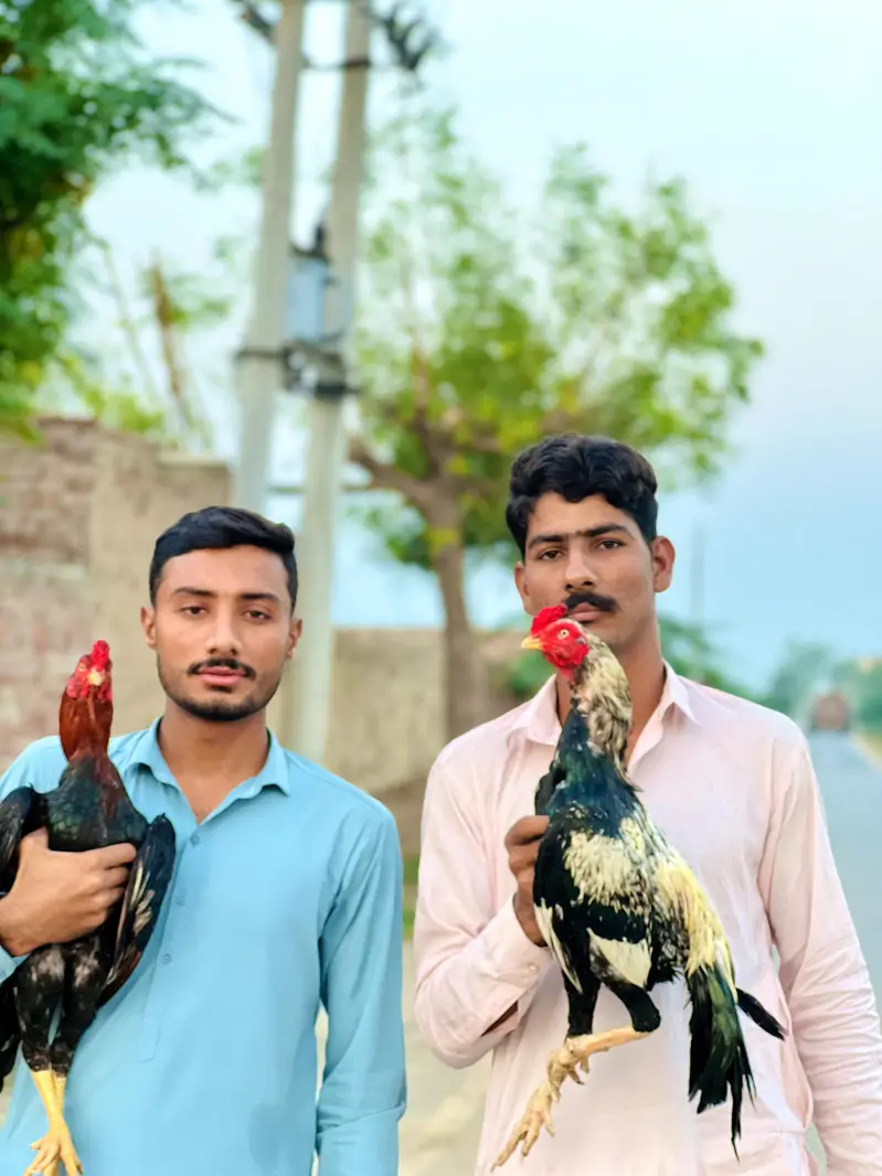 aseelmianwali — photo 2