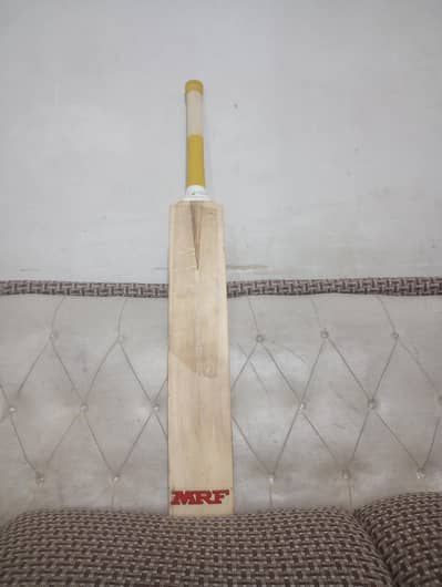 cricket bat