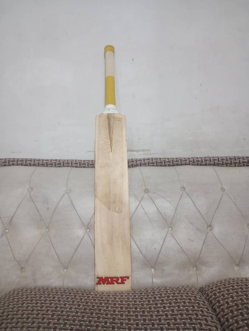 cricket bat 0