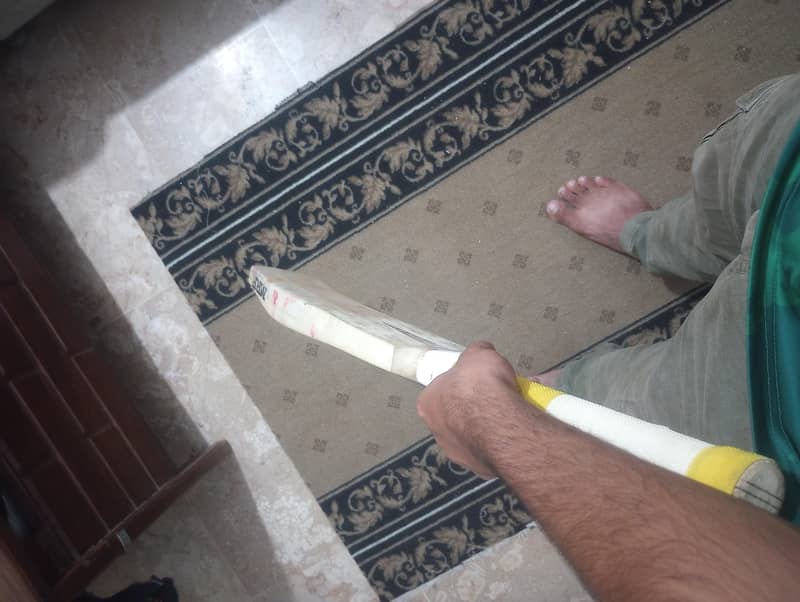 cricket bat 1