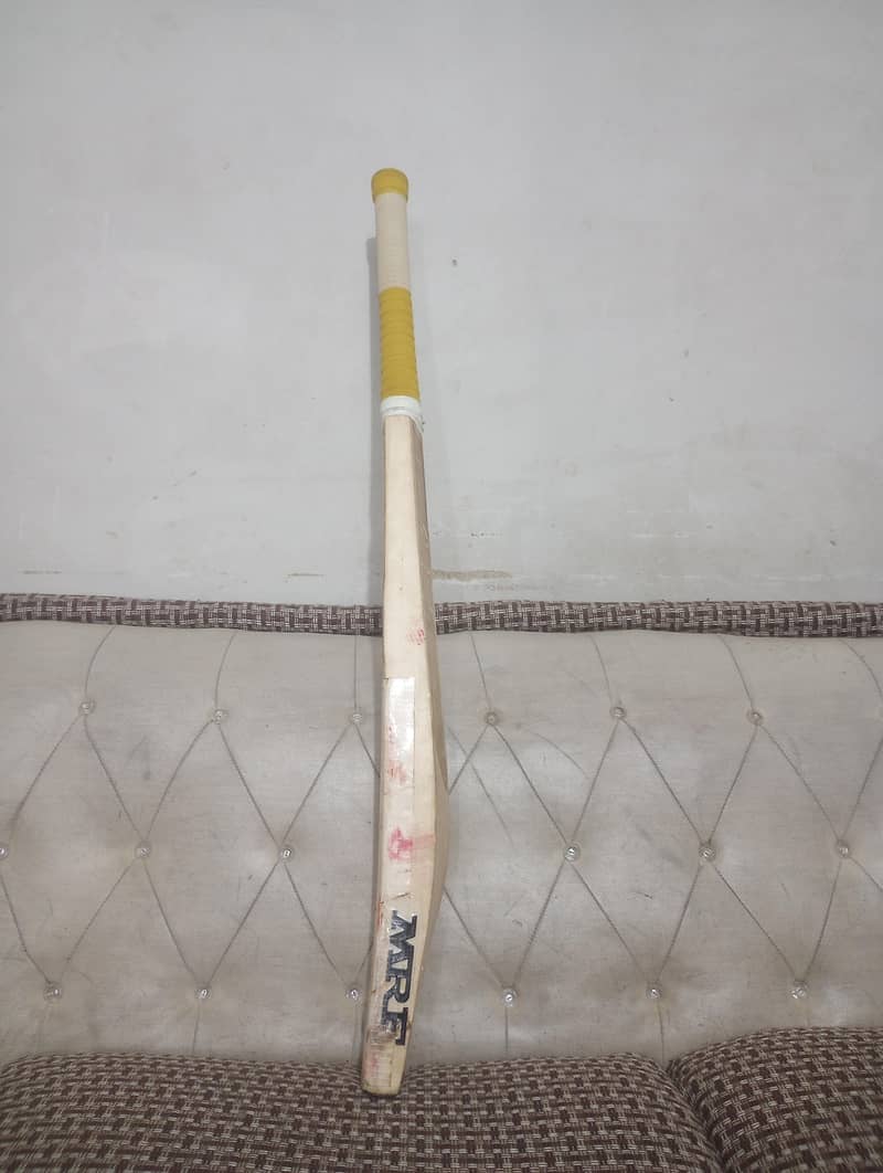 cricket bat 2