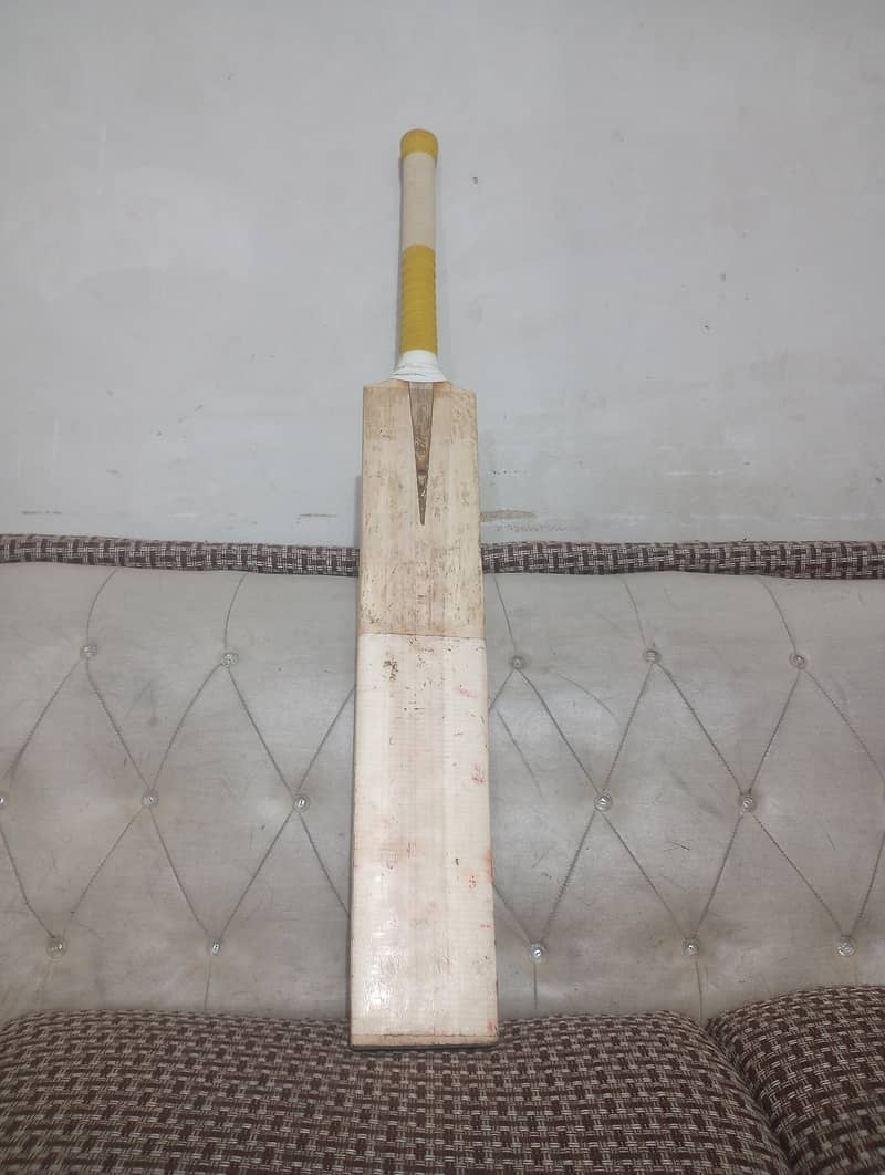 cricket bat 3