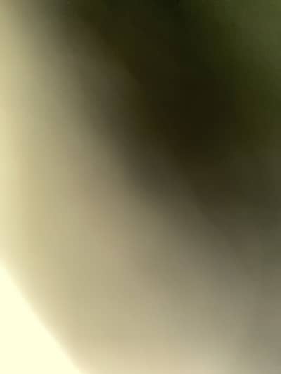 Hasnain
