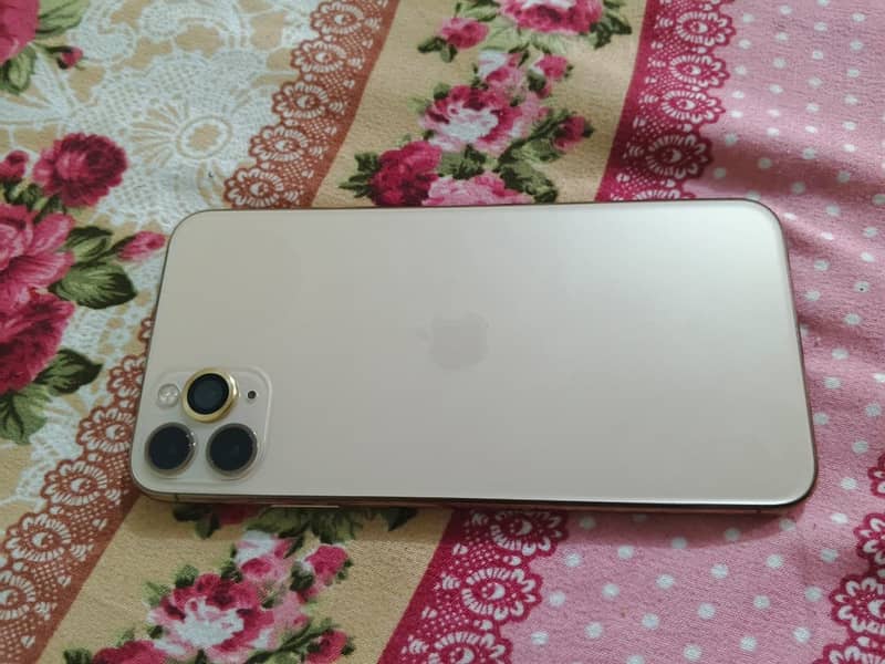 Apple iPhone 11 Pro Max 1