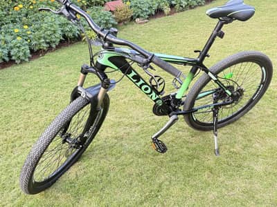 Mountain Bike