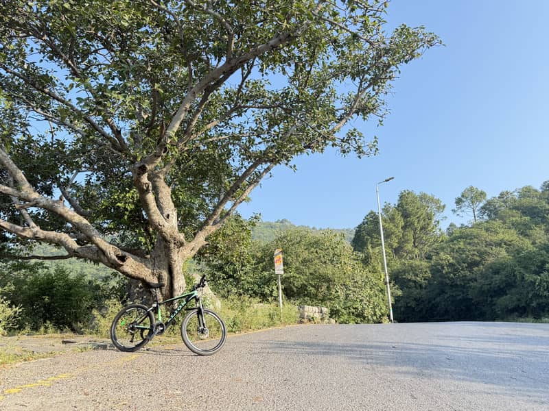 Mountain Bike 11