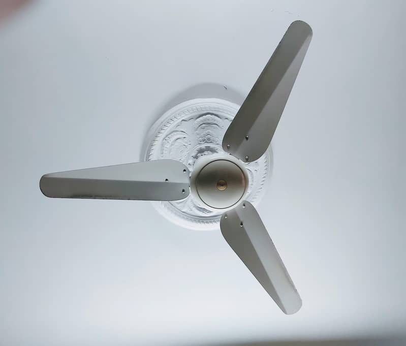 SK ceiling fan 0