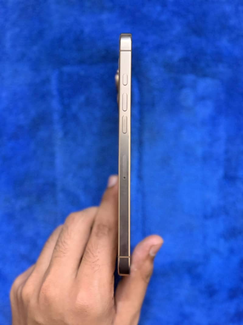Apple iPhone 16 Pro Max 0