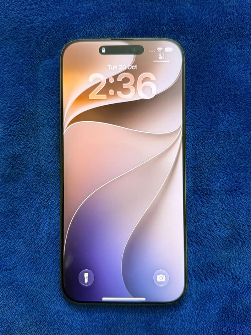 Apple iPhone 16 Pro Max 1