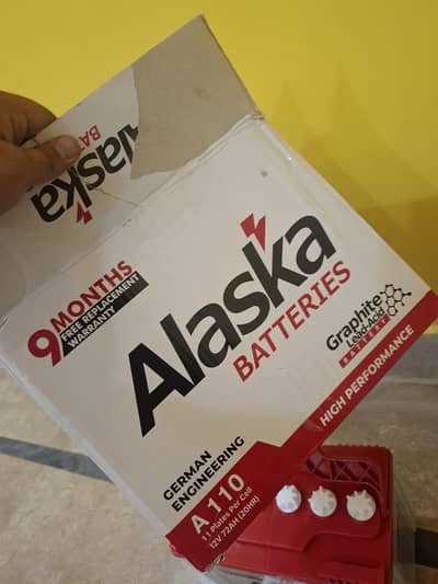 UPS Batteries (2)
