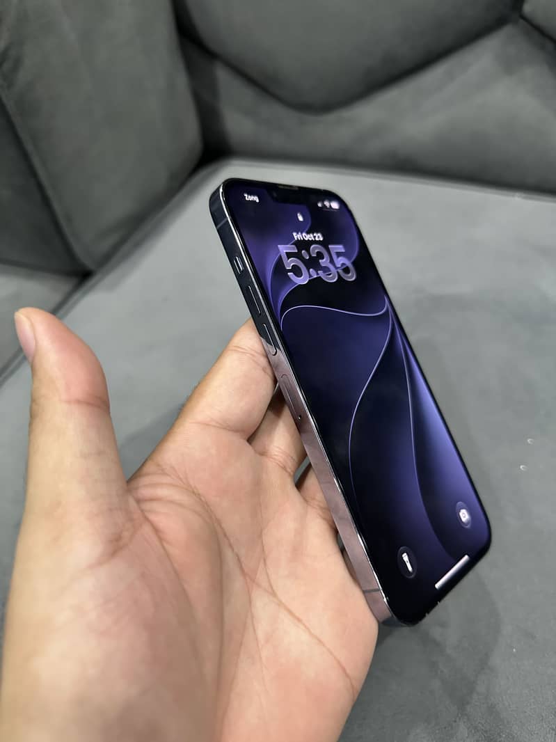 Apple iPhone 13 Pro Max PTA 5