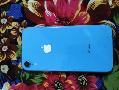 Apple iPhone XR