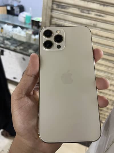 Apple iPhone 12 Pro Max just panel change and back change