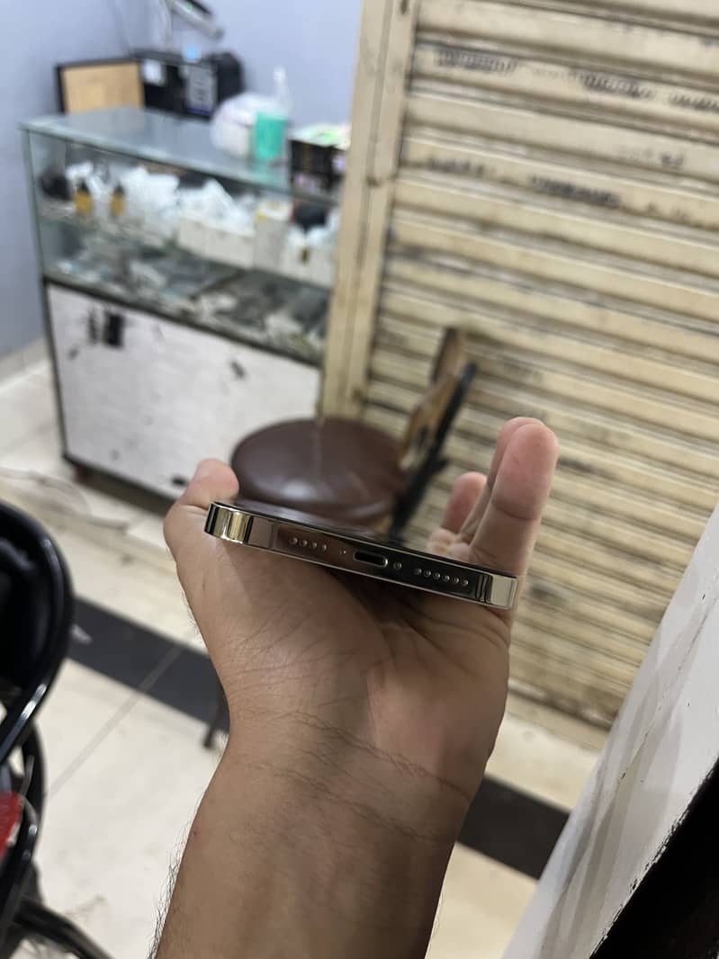 Apple iPhone 12 Pro Max just panel change and back change - Mobile ...