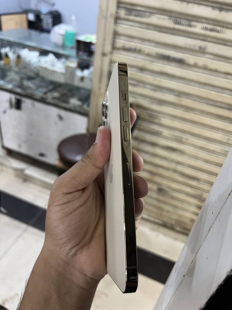 Apple iPhone 12 Pro Max just panel change and back change - Mobile ...