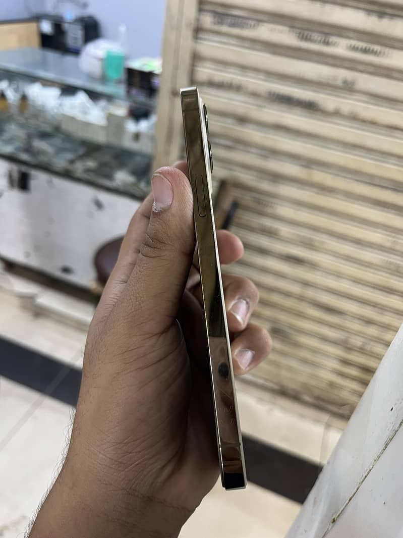 Apple iPhone 12 Pro Max just panel change and back change - Mobile ...