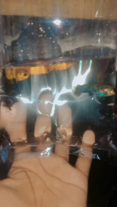 muli fish