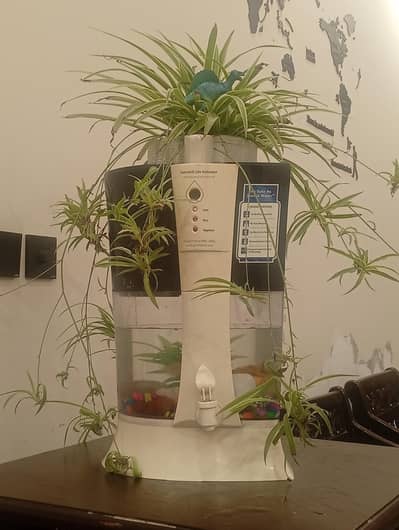 aquarium from water purifier
