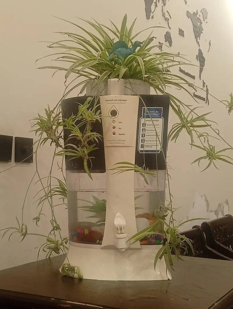 aquarium from water purifier