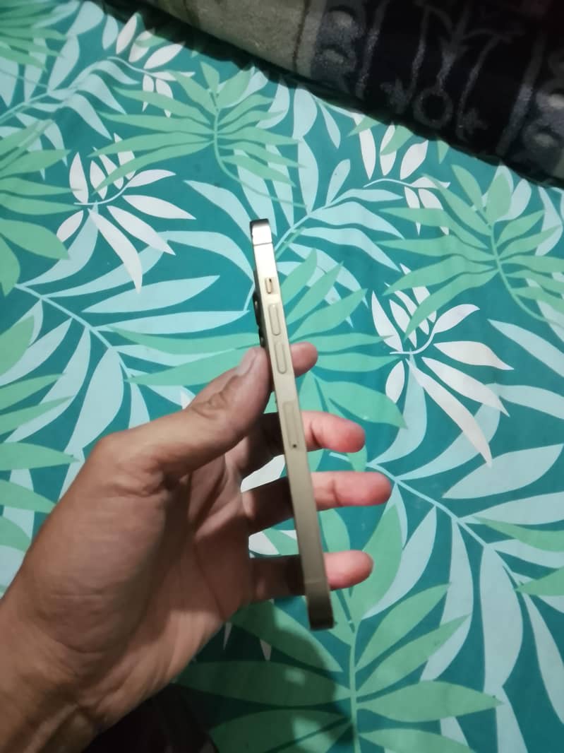 Apple iPhone 13 Pro 2