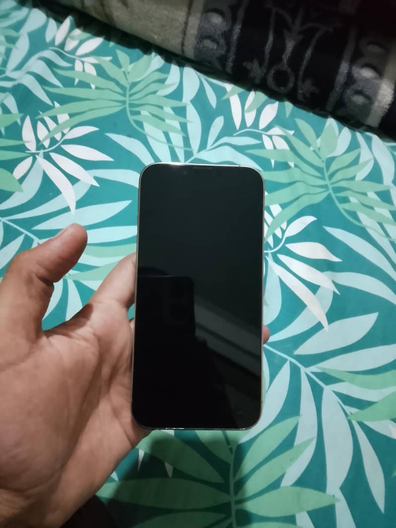 Apple iPhone 13 Pro 4