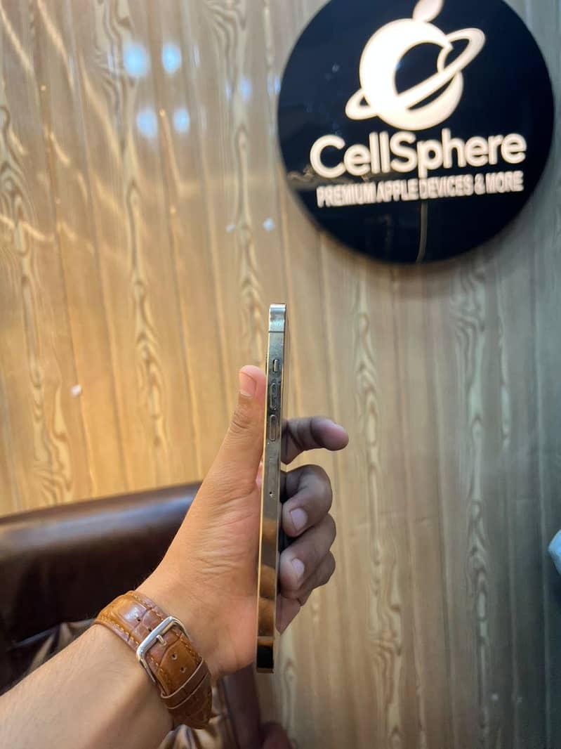 Apple iPhone 13 Pro Max 1
