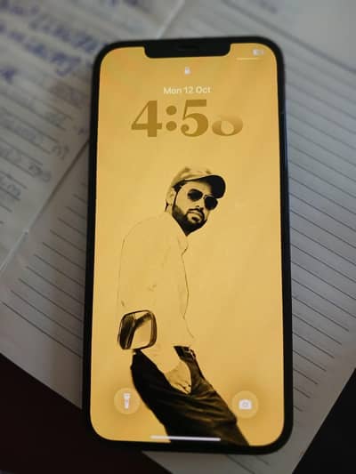 Apple iPhone 12 Pro Max