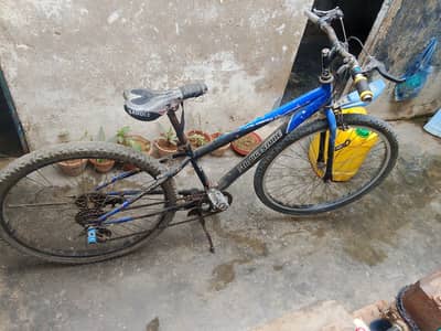 cycle for sale
