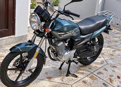 Yamaha YBZ DX 2023/24