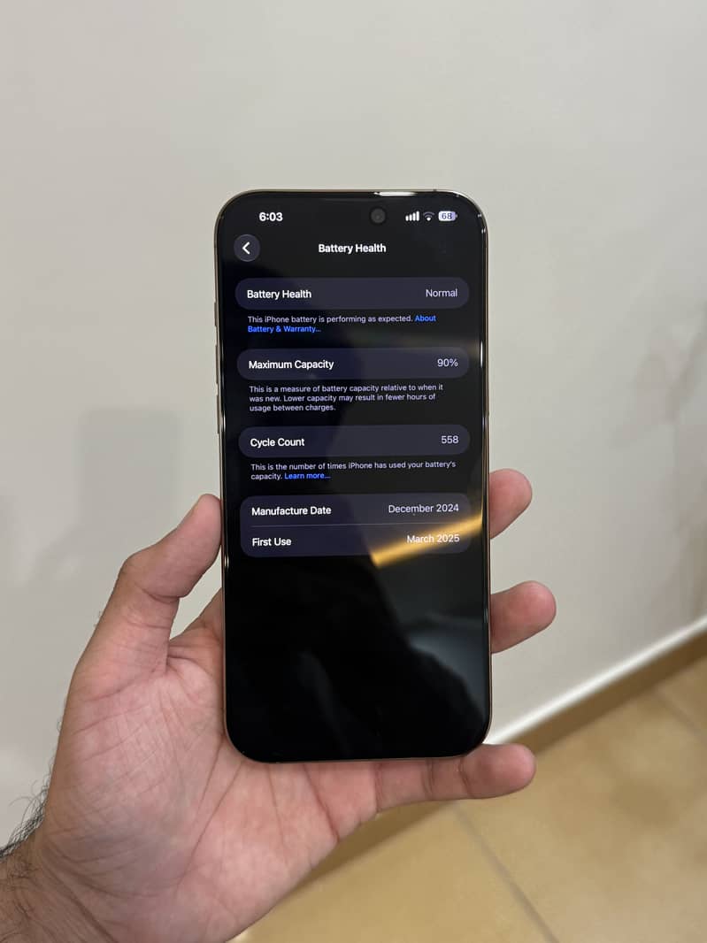 Apple iPhone 16 Pro Max 1