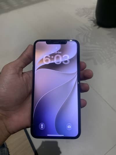 Apple iPhone 11 Pro Max