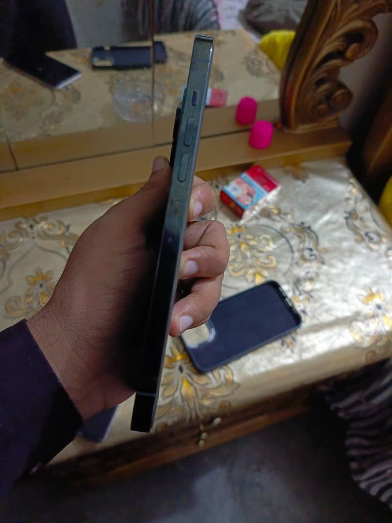 Apple iPhone 13 Pro Max 2