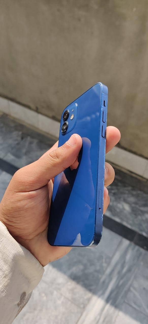 Apple iPhone 12 1