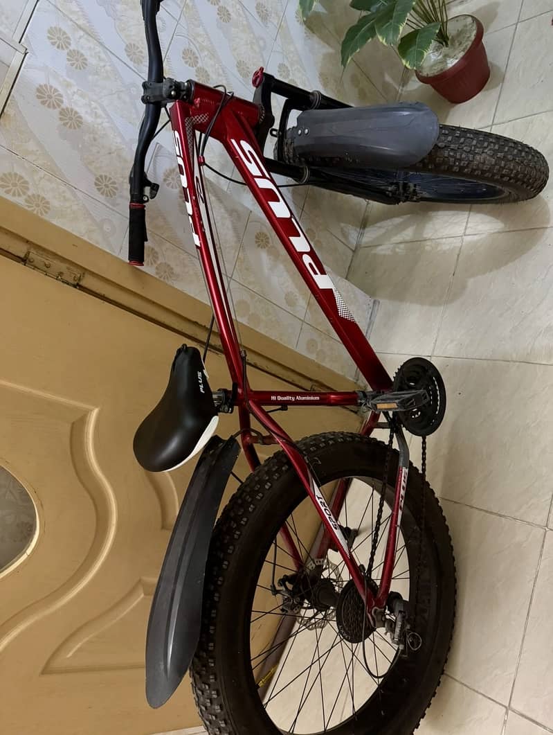 Speed bicycle 1