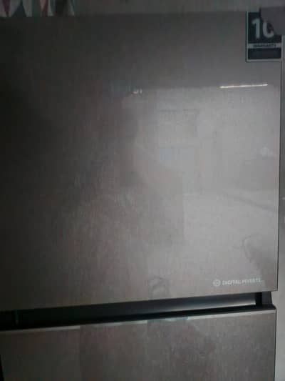hier fridge