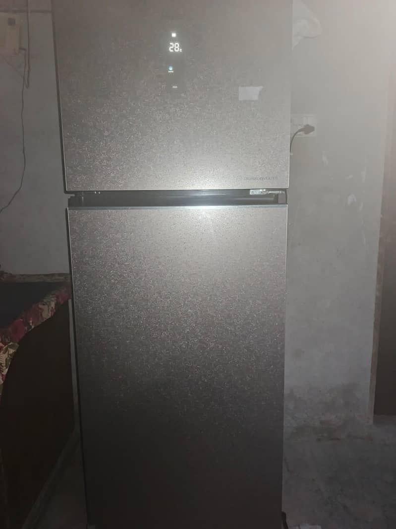 hier fridge 3