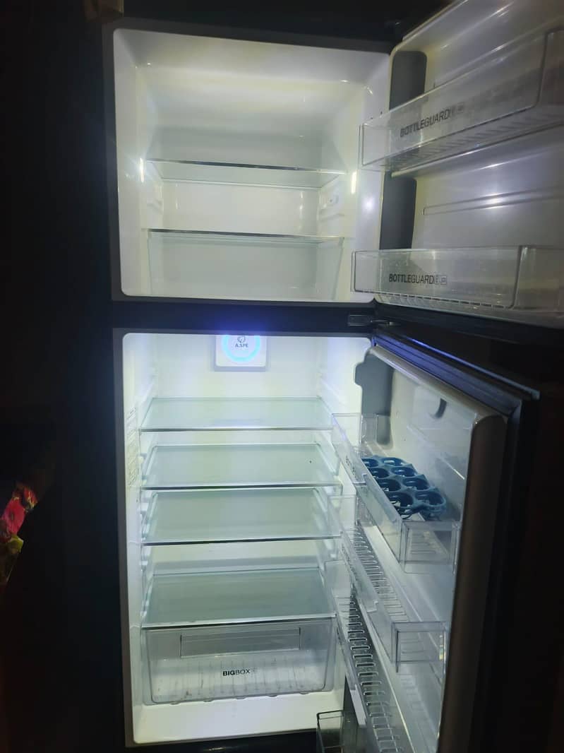 hier fridge 6