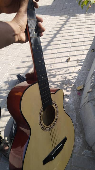 Acoustic Guitar