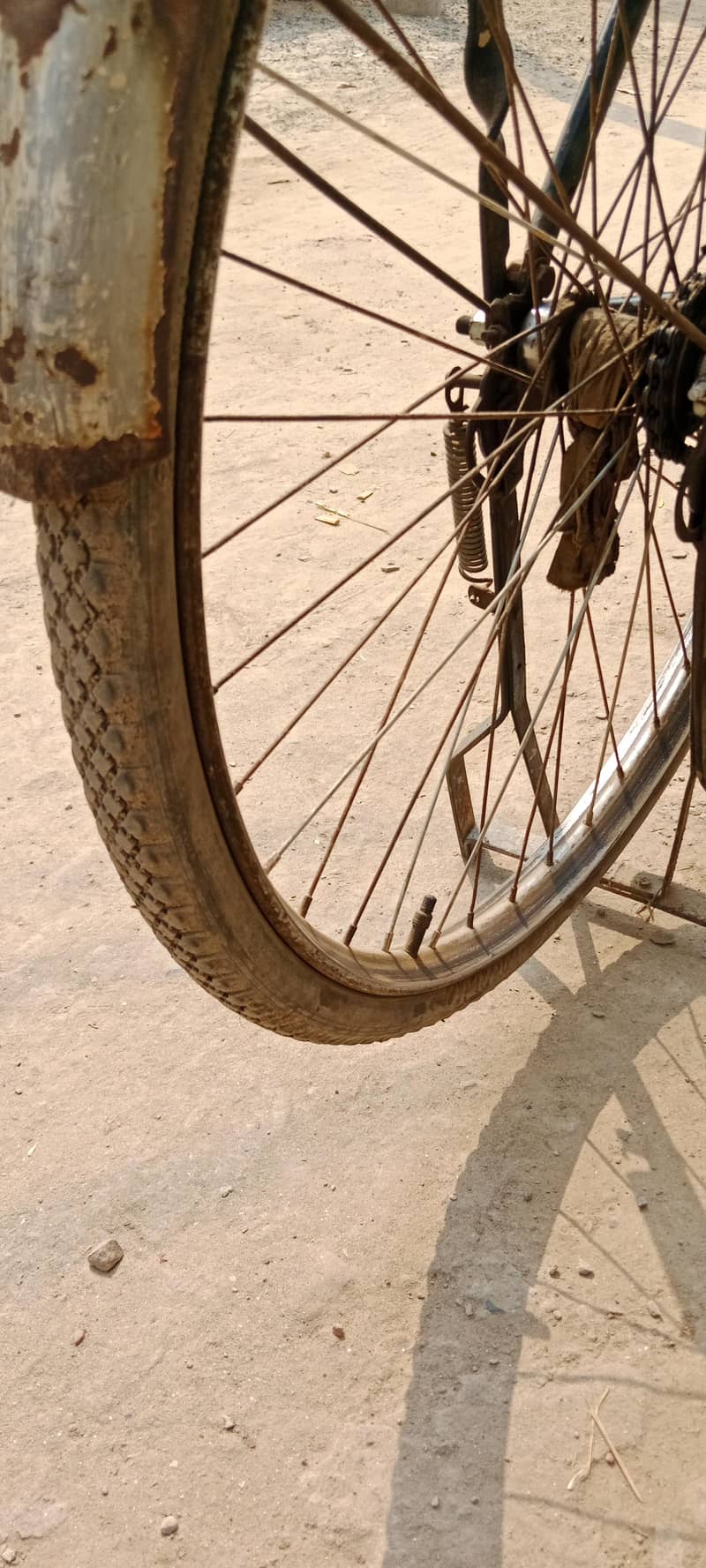 bicycle 1