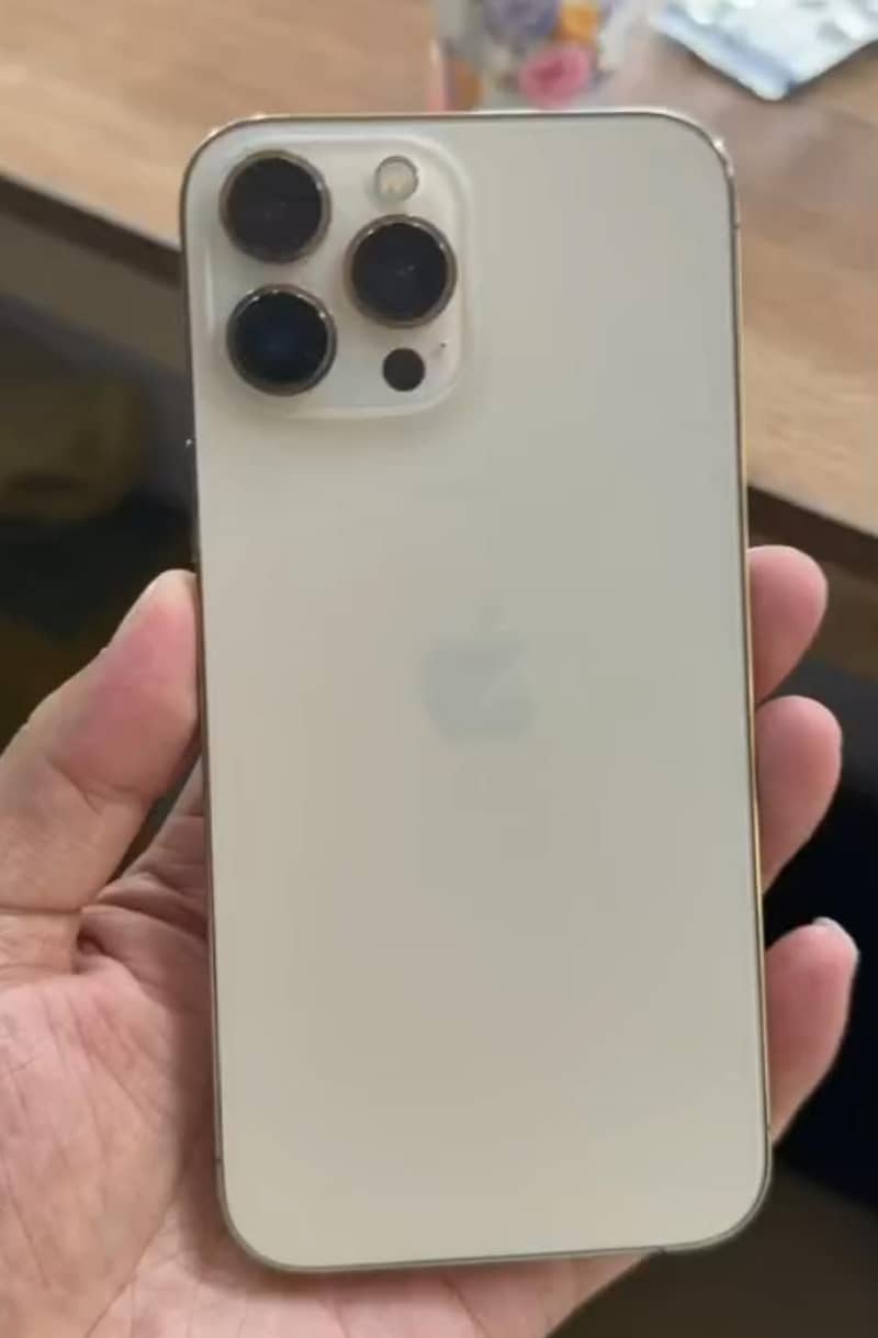 Apple iPhone 13 Pro Max 1