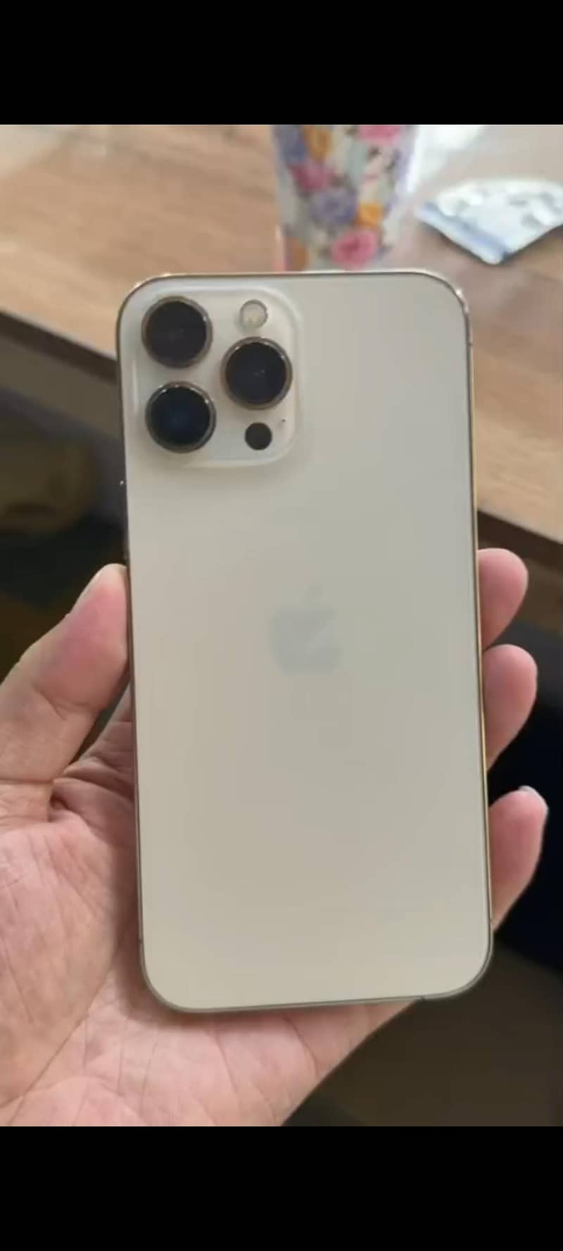 Apple iPhone 13 Pro Max 2