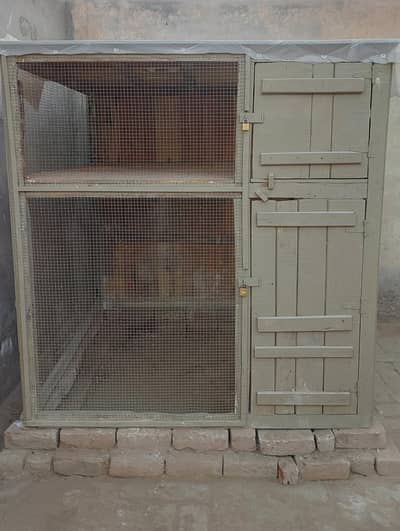 Hens/Chicks/ Wood cage for sale in Multan