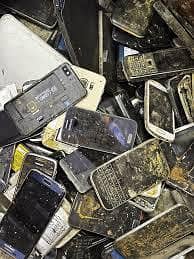 Apple iPhone 11 2
