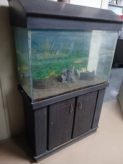 Fish Aquarium for Sale