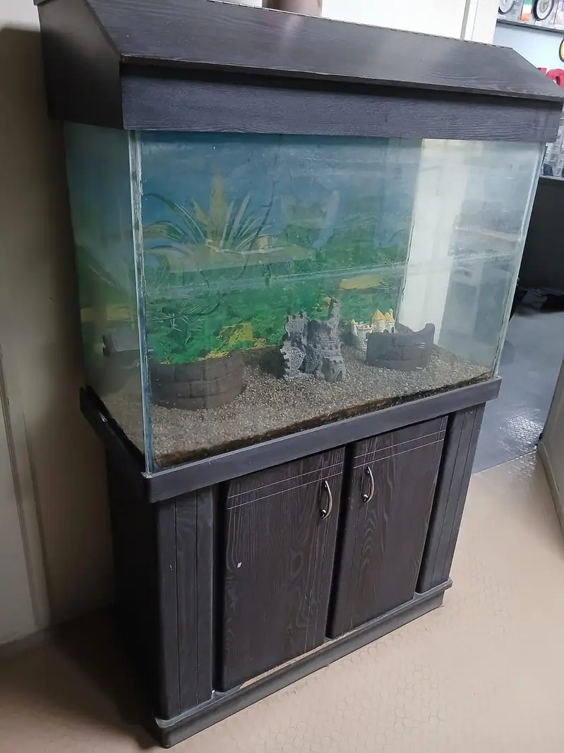 Fish Aquarium for Sale