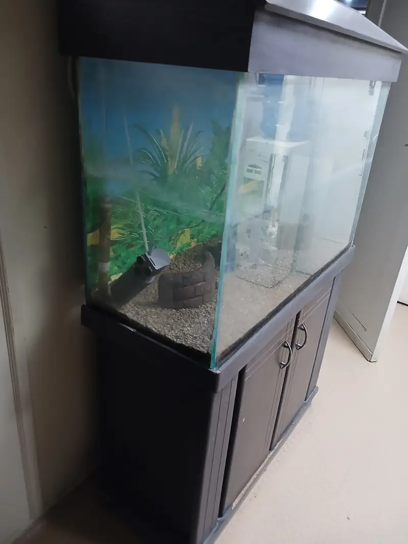 Fish Aquarium for Sale — photo 3