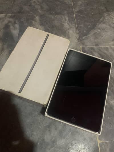 mini 5
