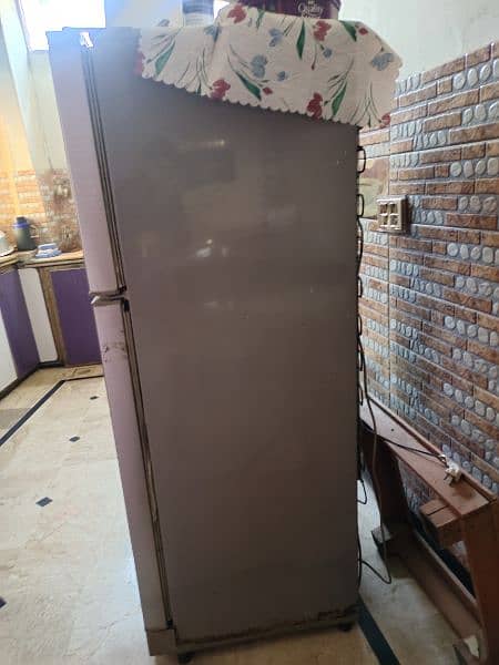 PEL fridge 1