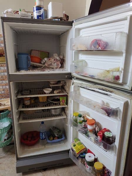 PEL fridge 2