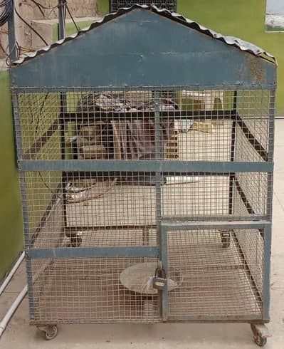 Cage for hens, pigeon, parrot,cat
